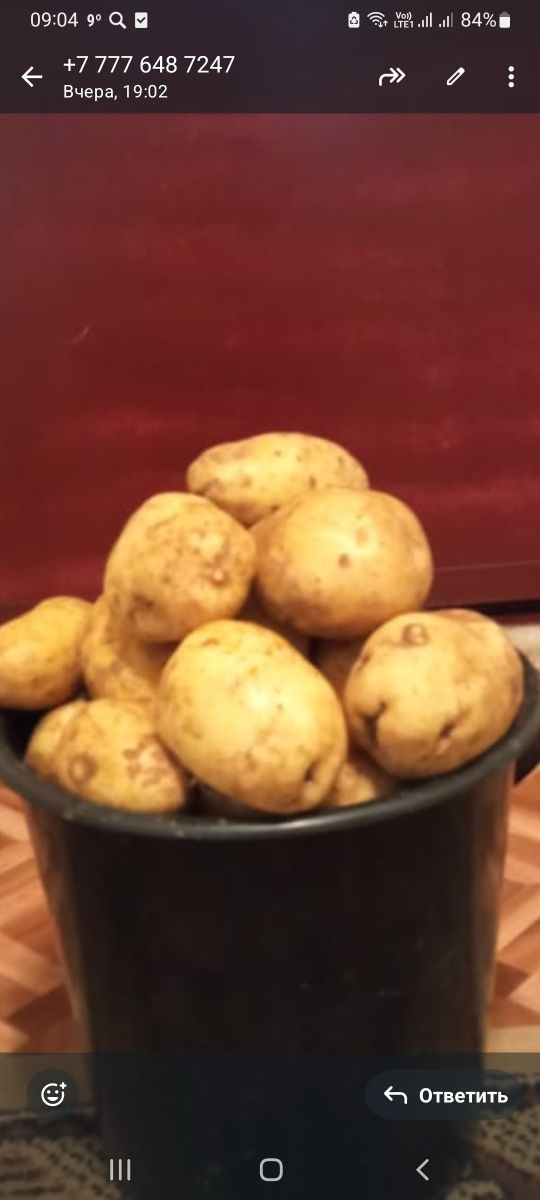 Продам картофель