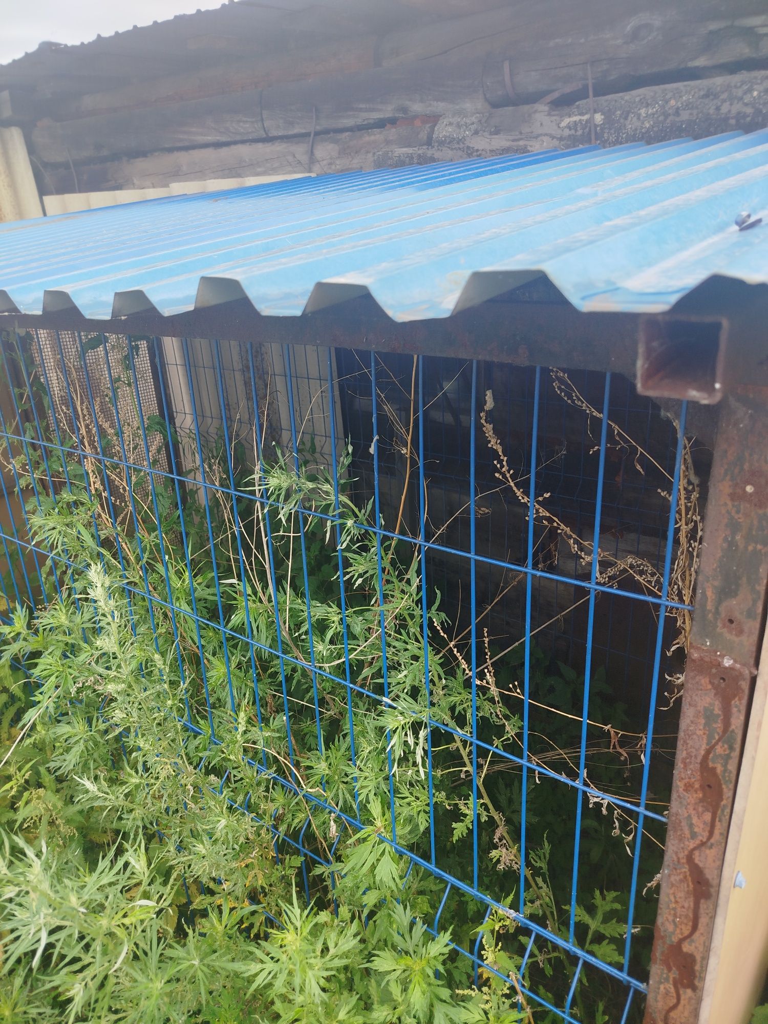 Продам вальер для собаки
