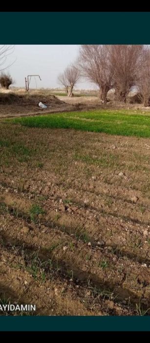 Yashash uchun yermaydoni 15sotix. 2ta xoʻjalikga bolʻsa ham boʻladi.