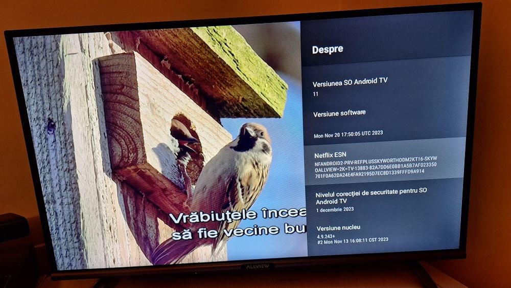 Smart tv android Allview ePlay 80 cm