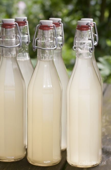 Tabiiy Olma Nok Shaftoli Mandalin Xurmı sirkalari