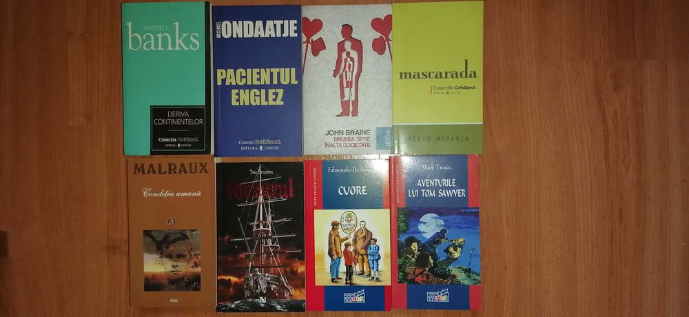 Beletristica/Literatura