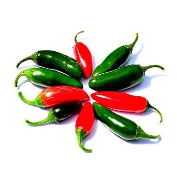 Чушка и семе от най-лютите сорт чушки в СВЕТА!
1. Каролина Рийпър – 2