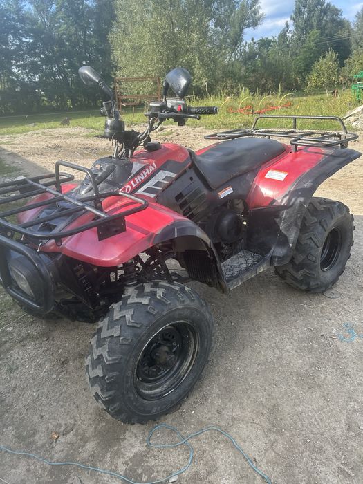 Atv linhai 300 2x4