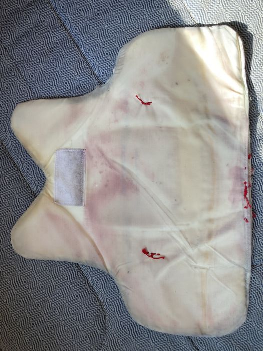 vesta antiglont si panel extra nivel 2 protectie