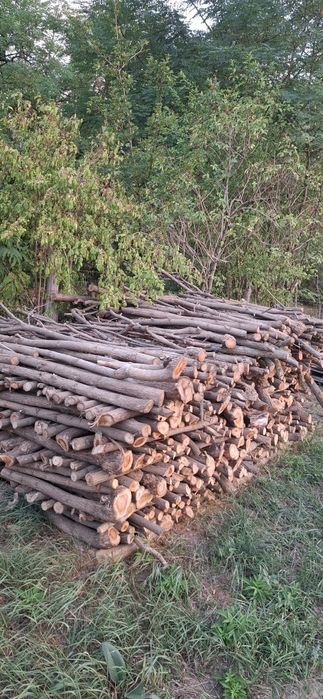 Lemn de foc de Salcim uscat