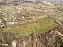 Mountain Plateau - 23.345 SQM - Exclusive Estate | Jud Prahova - Valea