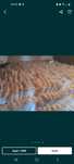 Vand  var  pasta,10 kg 15 lei