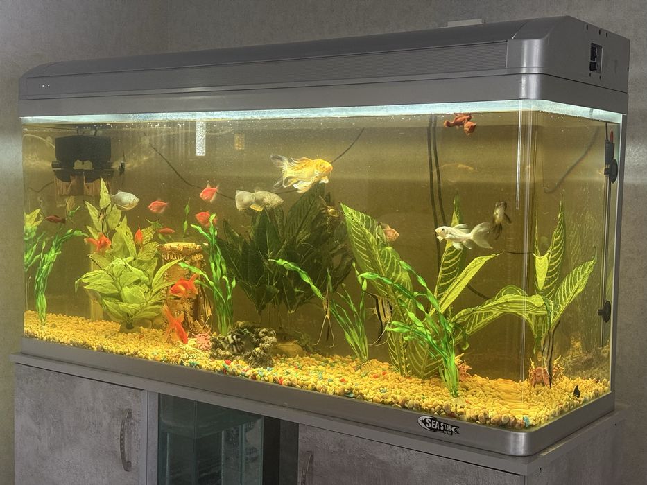 Продам Аквариум 250л заводской с подсветкой и.д