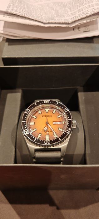 Citizen promaster automatic