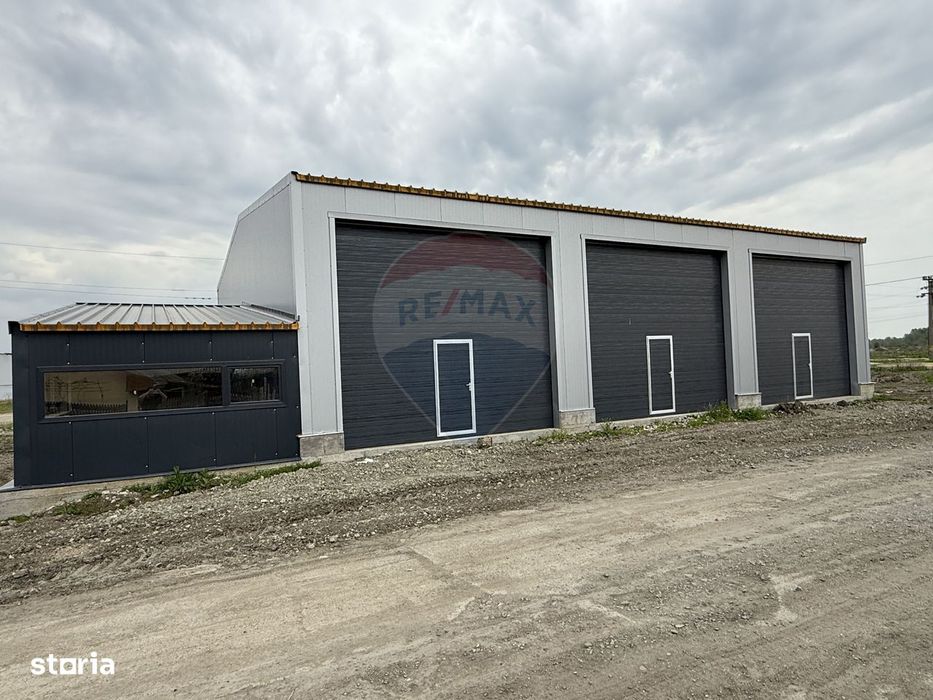 Service de închiriat Podari zona industriala