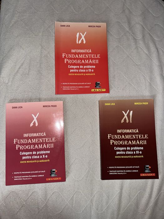 Culegere informatică Dana Lica
