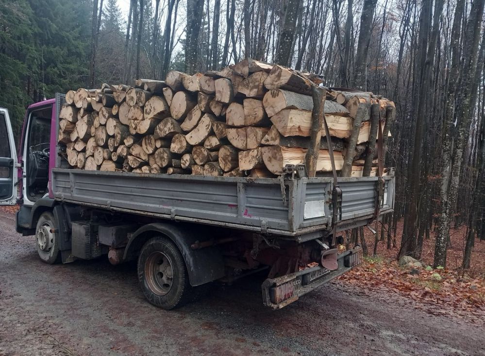 Sc vindem lemne de foc esențe tarii!