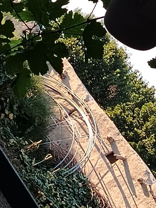 Parnik turbalari sotiladi