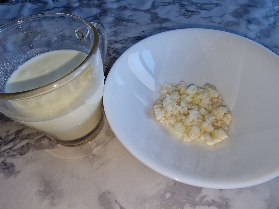 Ciuperca de Kefir! Cel mai bun probiotic natural!