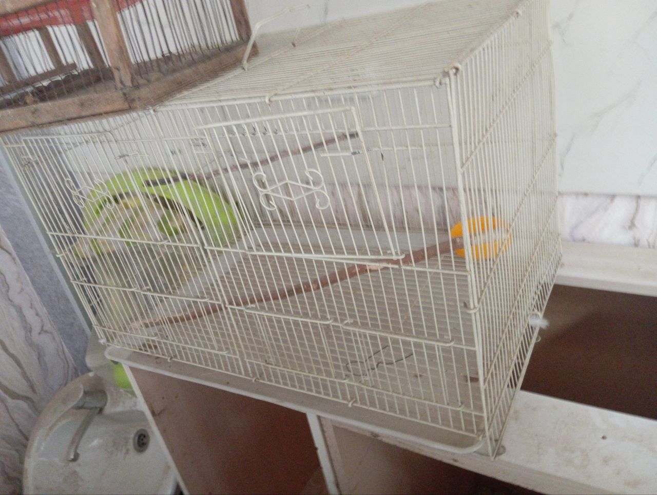 Клетка 60/40/40 телевизор