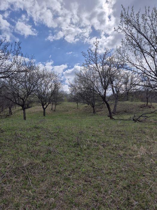 Teren extravilan zona de deal, 12 ha
