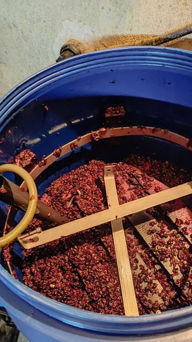 Подаравам джибри от грозде за изваряване на ракия