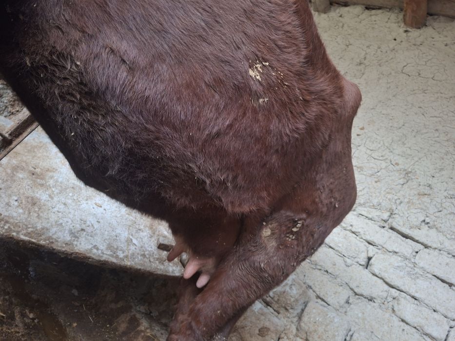 Tagayev Azizbek Asadovich