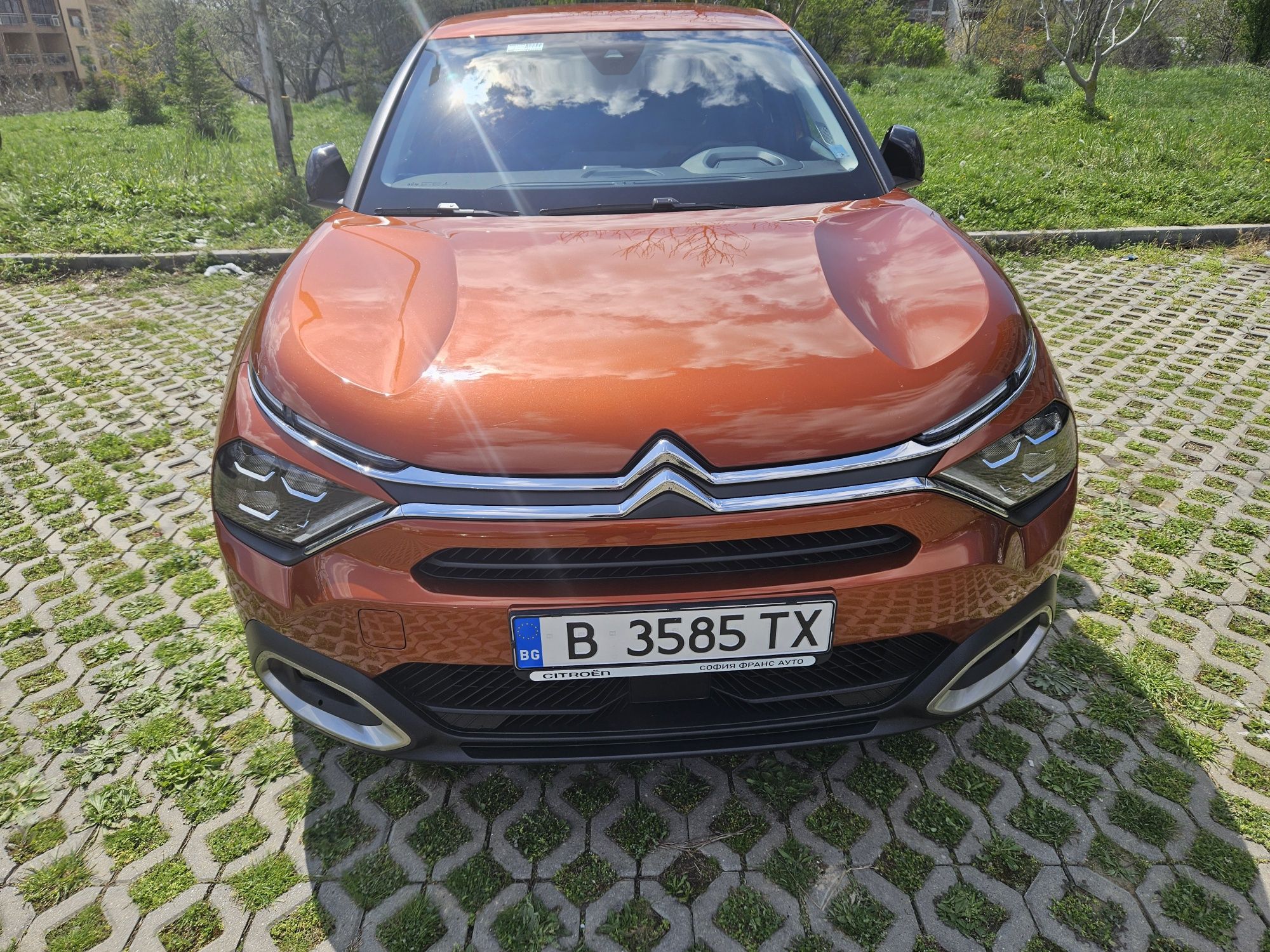 Ситроен С4 1.5 blue hdi 131