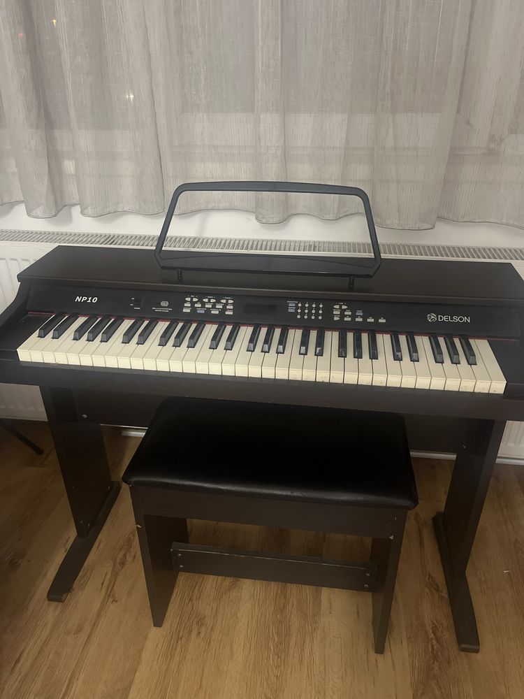 Pianina Electrica Delson