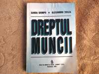 Dreptul Muncii Vol. I