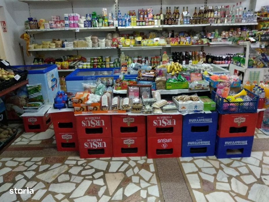 Spatiu Comercial 100 mp Triaj