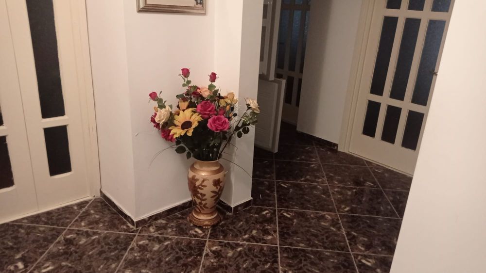 apartamente de vanzare roman