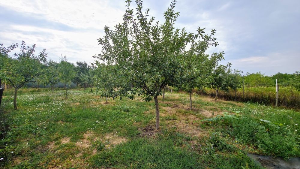 Продава се Къща в с. Дебели лаг, Област Перник - 70 кв.м за 765 €/кв.м - Снимка #14