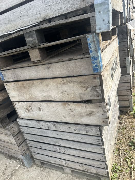 Boxpaleti lemn utilizati