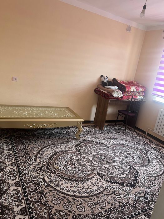 Судент Кизлар куяман