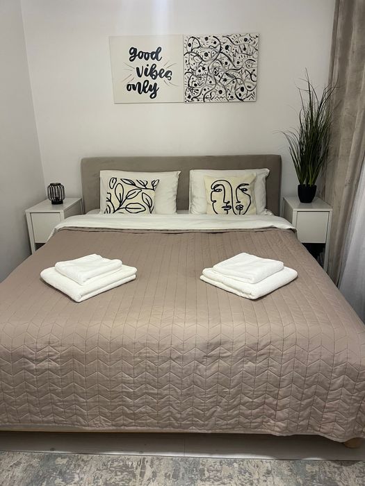 Apartament 3 camere decomandat de închiriat Brazda lui Novac