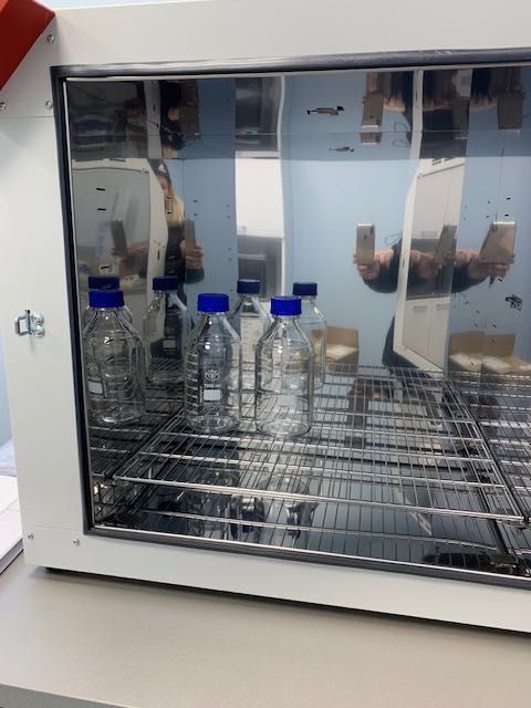 Сушилня сух стерилизатор Binder model ED 115