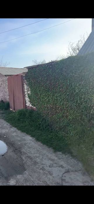 Чорвок трассада 6 сотих Якин келажак учун инвеститция