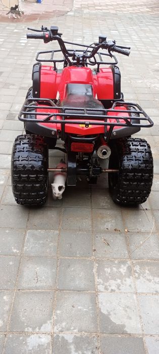 ATV - motor de 120 ,uzat