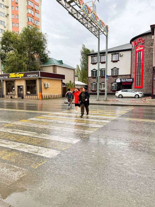 бухгалтерские услуги ИП ТОО Жабу ЭСФ СНТ Импорт Субсидия Стат отчет