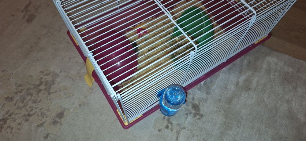 hamster si cusca complet echipata