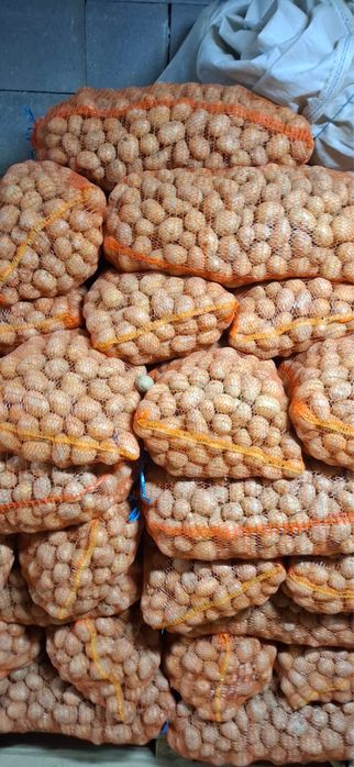 Cartofi de samanta Marabel