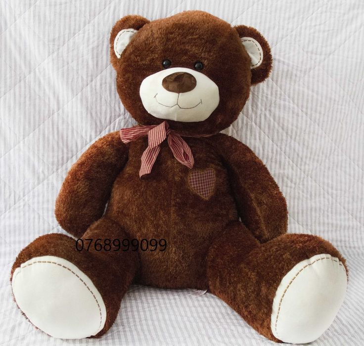 URSulet plus mare urs imens gigant