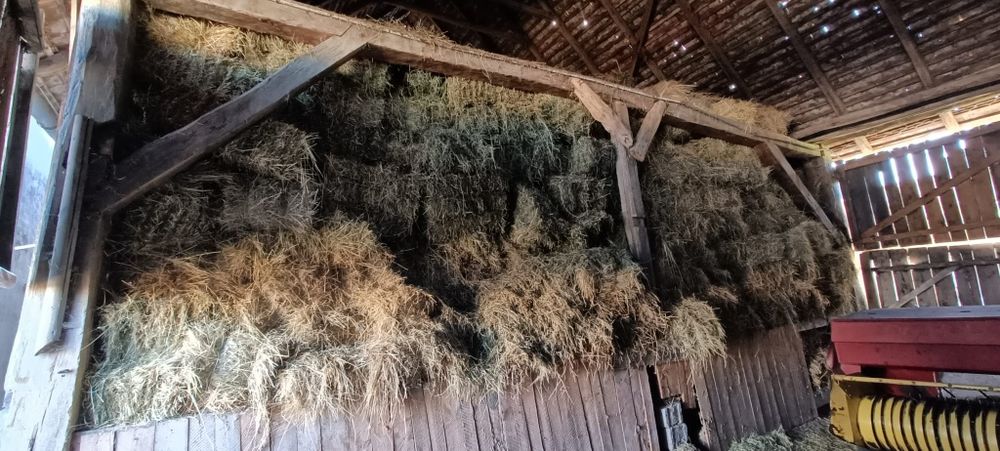 Vând baloți de lucernă