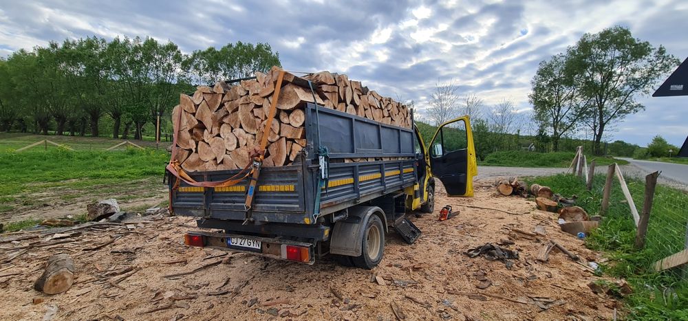 Lemne uscate pentru foc