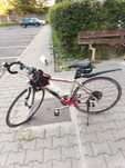 Bicicleta cursiera lampiere