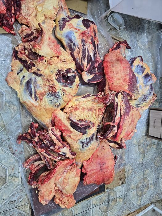 Семиз сиыр еттери сатылады под зарплата,пенсияга болип толеуге беремин