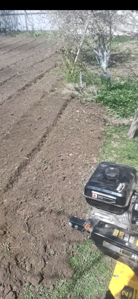 Пашем огороды Илийский район мотоблоком