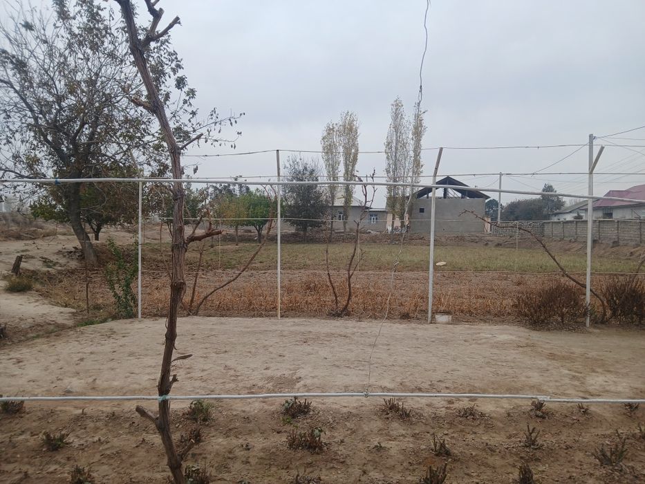 21 sotik, 9 xonali uy sotiladi