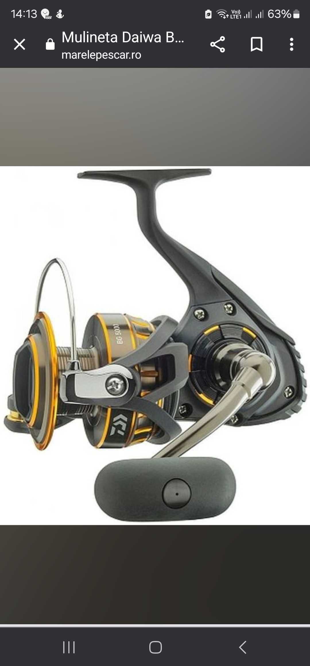 Mulineta daiwa BG4000