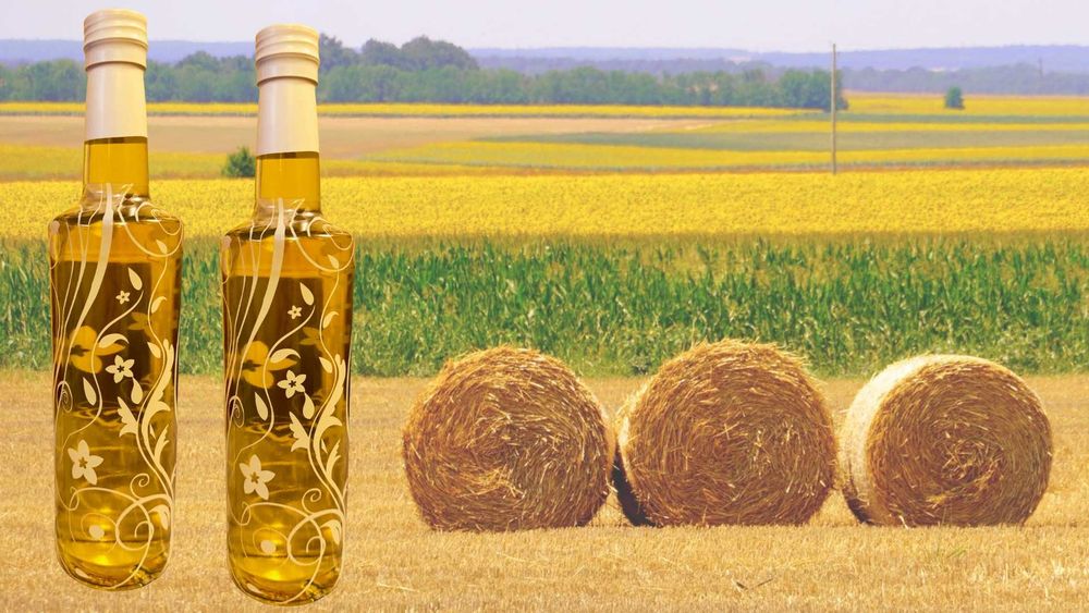 Bottle and Label Art – изкуството да вдъхнеш живот на бутилката