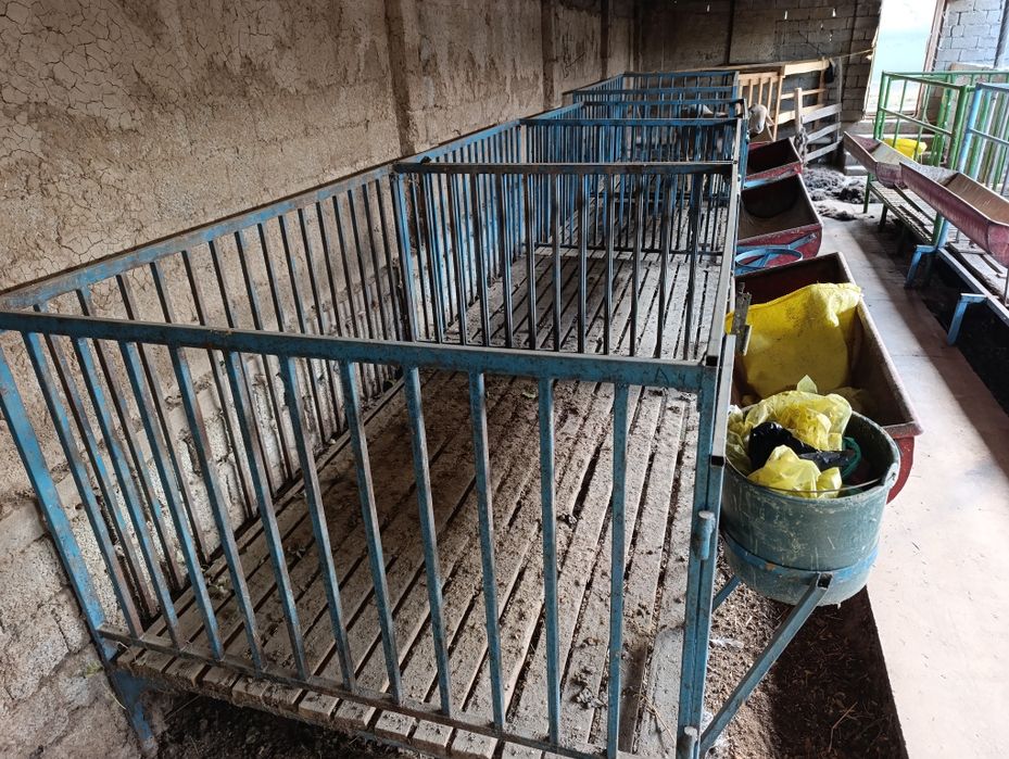 Qoʻylaga qoʻyxona bu