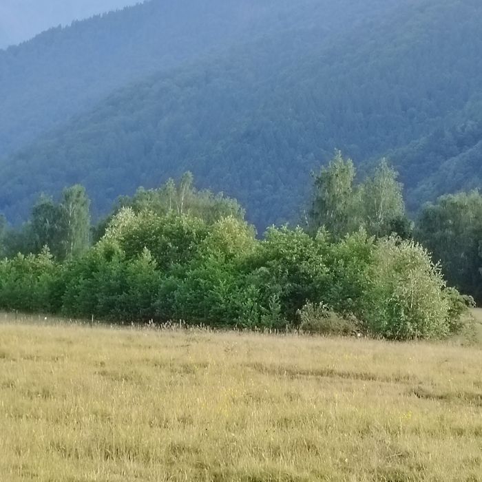 Vând teren zona turistica Breaza Făgăraș jud Brașov