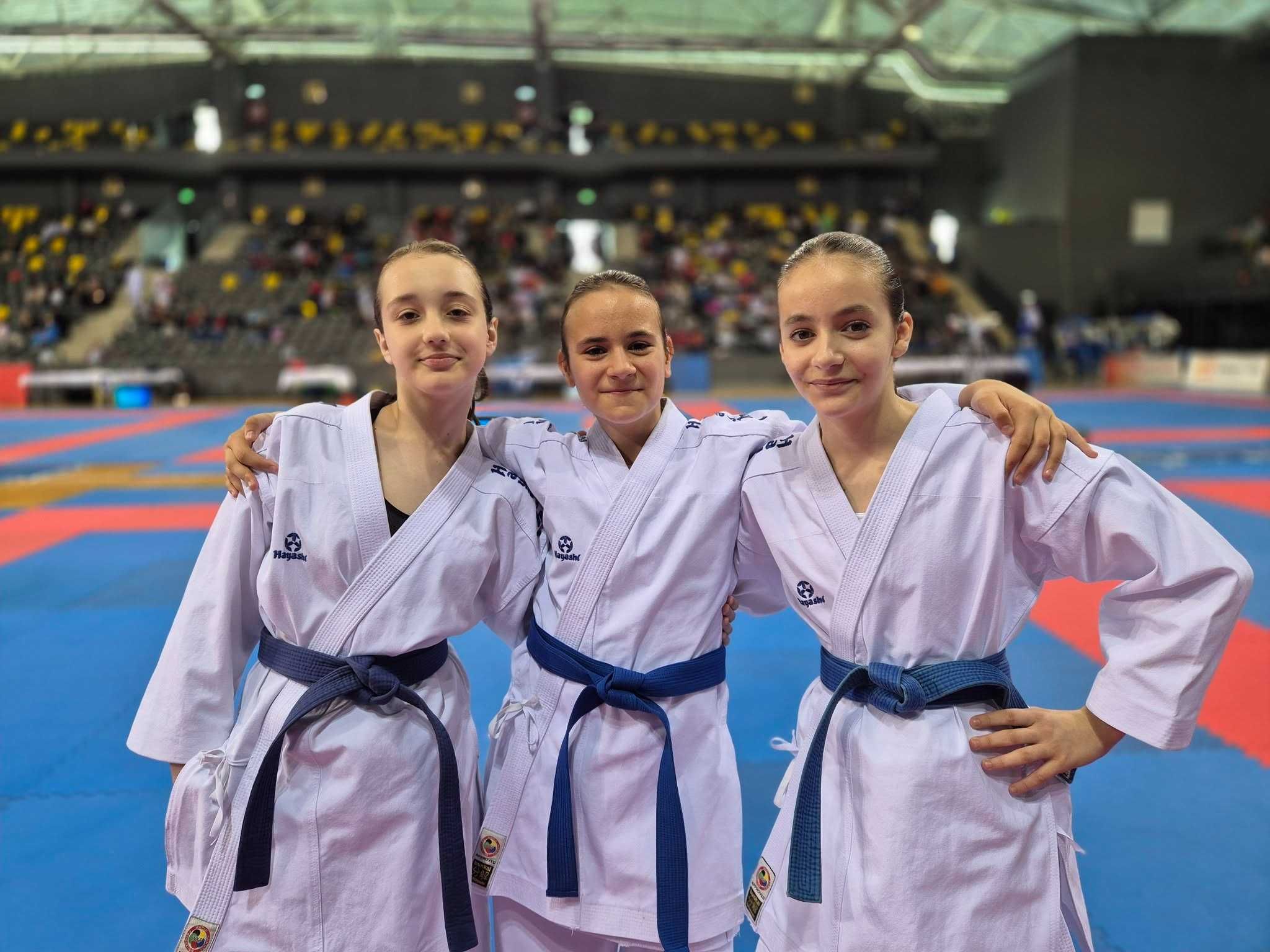Cursuri karate  zona  Pantelimon Delfinului